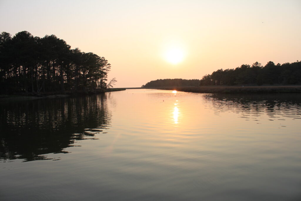 Pocomoke River - Nassawango Cree