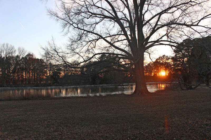 Plain Dealing Creek near the old Chamberlain plantation.