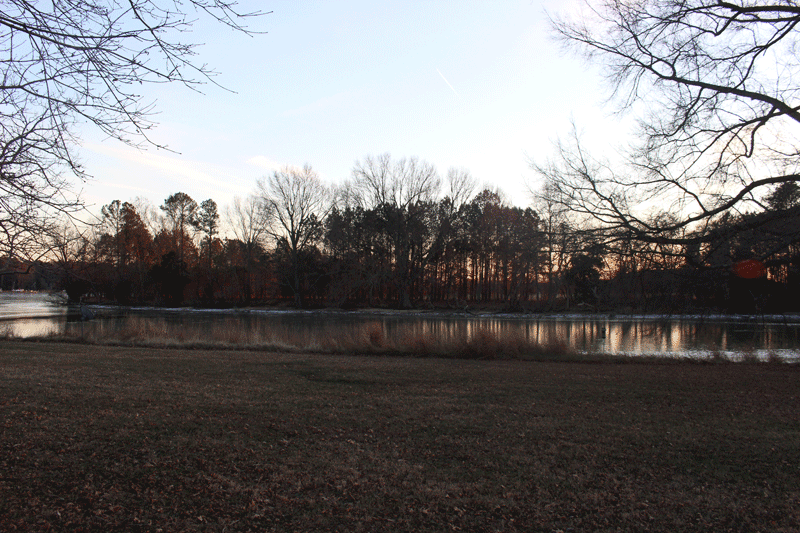 The Witches of Plain Dealing Creek Valliant Brothers Murder