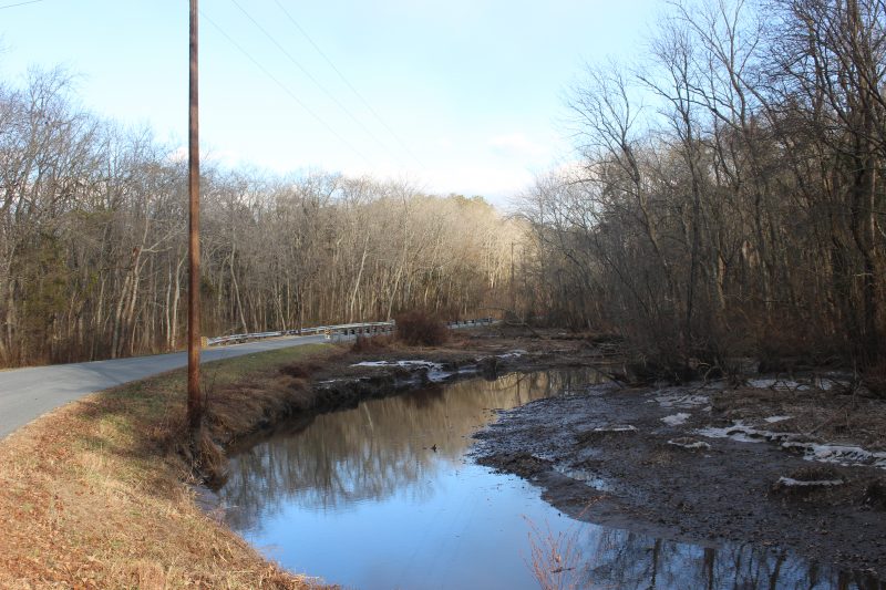 Maggie's Bridge - Woodland DE