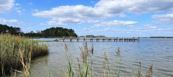 LeCompte Bay, Dorchester County MD