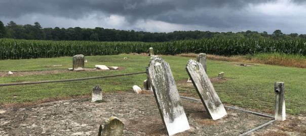 Zippy Lewis - Mount Zion Cemetery where she is likely buried.