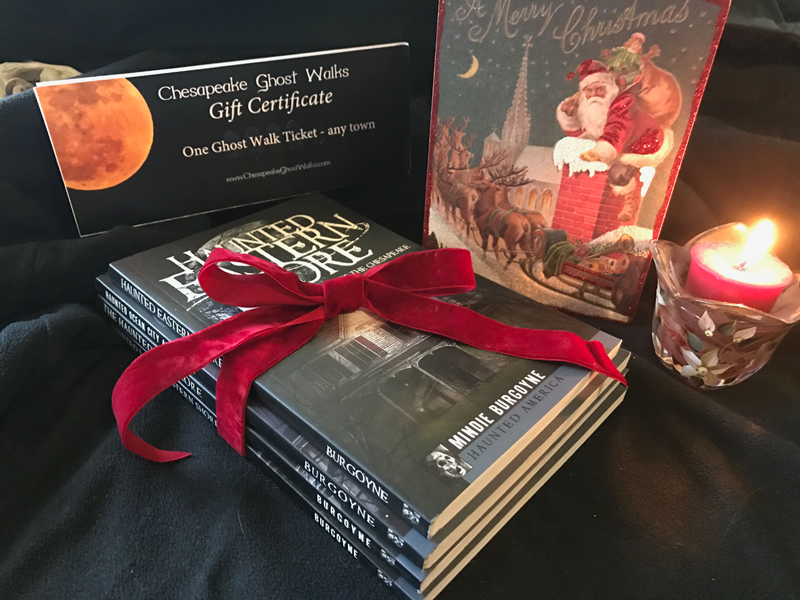 Gifts for the holidays - books by Mindie Burgoyne